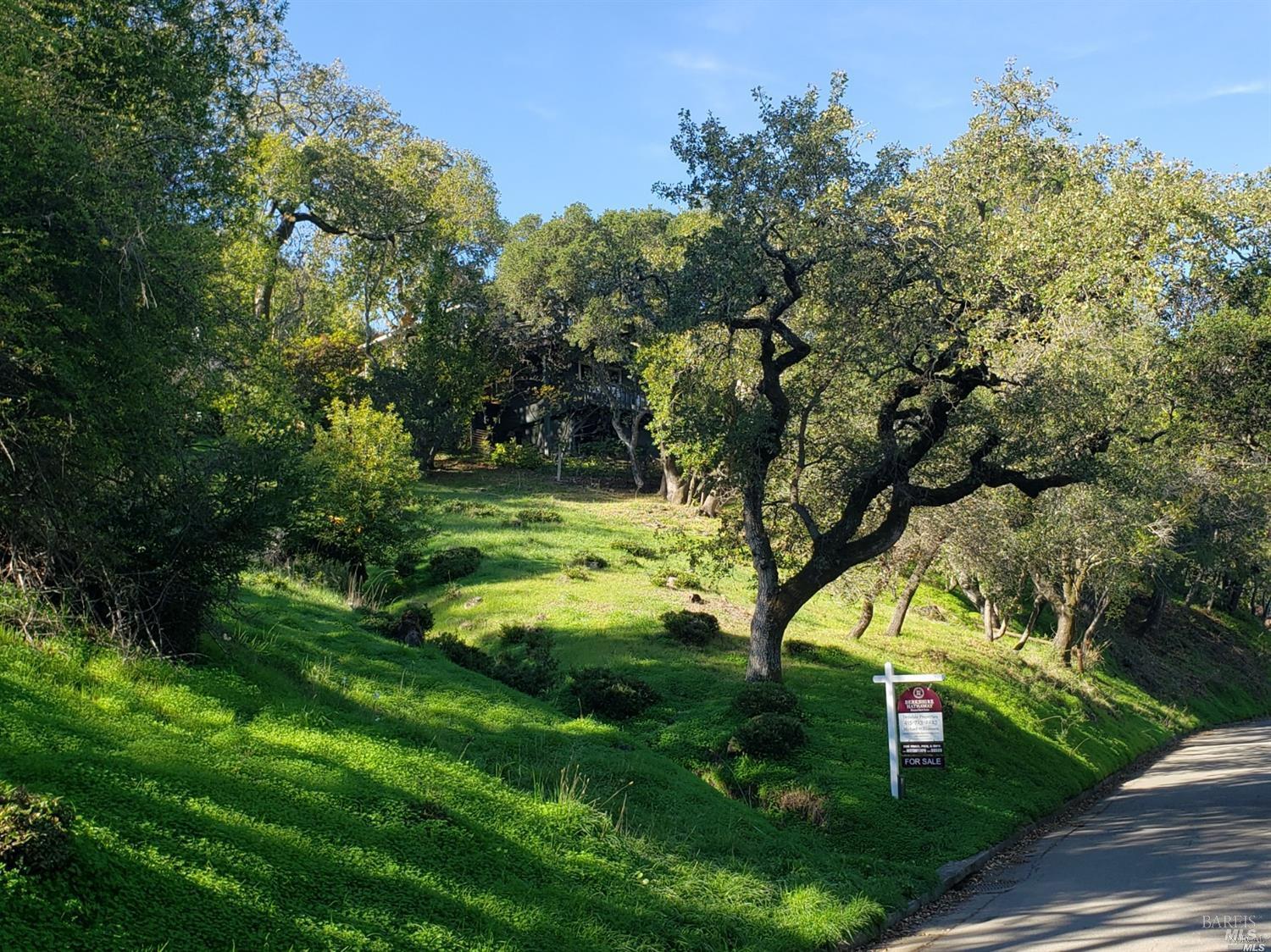 Detail Gallery Image 10 of 10 For 315 Coleman Dr, San Rafael,  CA 94901 - – Beds | – Baths