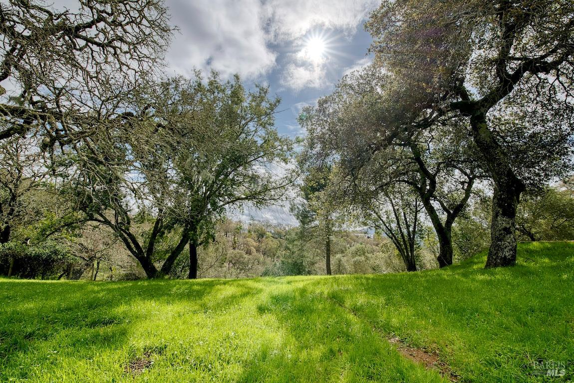 Detail Gallery Image 44 of 71 For 2511 Laguna Vista Dr, Novato,  CA 94945 - 3 Beds | 2/1 Baths