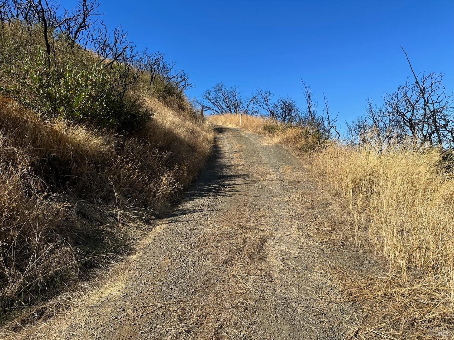 Detail Gallery Image 14 of 18 For 6800 State Highway 128 Hwy, Napa,  CA 94558 - – Beds | – Baths