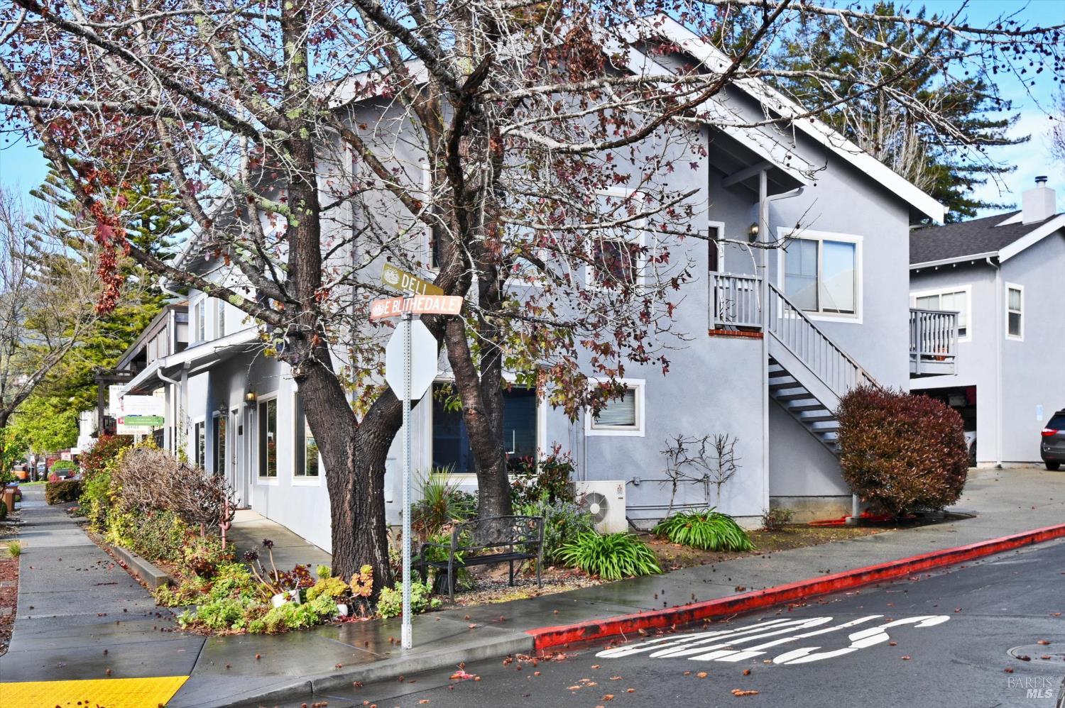 Detail Gallery Image 4 of 12 For 219 E Blithedale Ave, Mill Valley,  CA 94941 - – Beds | – Baths