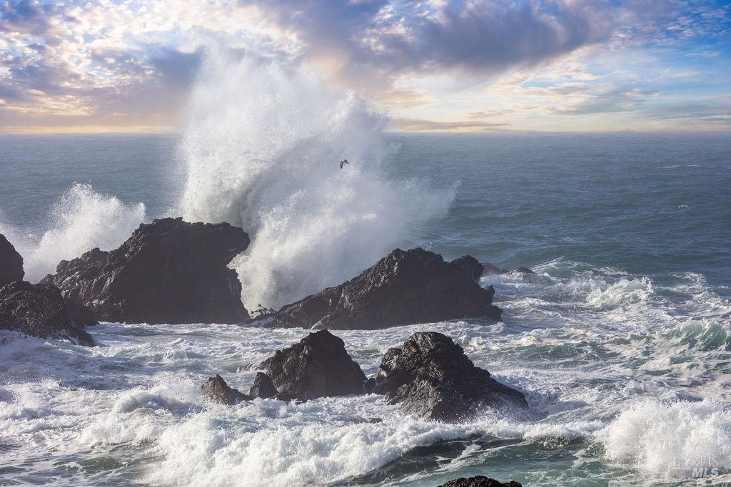 Detail Gallery Image 25 of 35 For 91 Wild Iris Unkn, The Sea Ranch,  CA 95497 - – Beds | – Baths