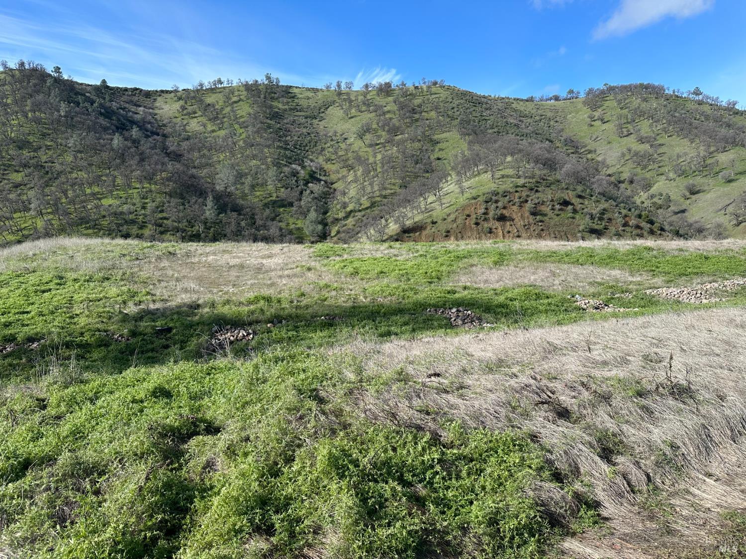 Detail Gallery Image 6 of 23 For 25156 E State Hwy 20 Hwy, Clearlake Oaks,  CA 95423 - – Beds | – Baths