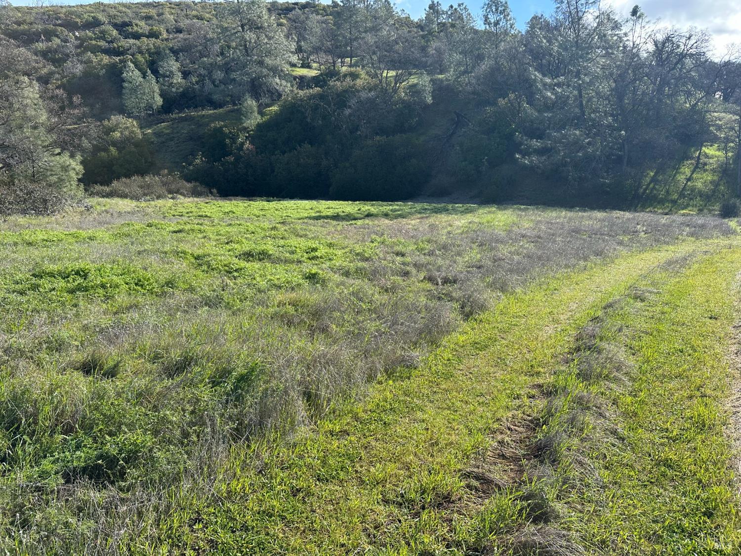 Detail Gallery Image 14 of 23 For 25156 E State Hwy 20 Hwy, Clearlake Oaks,  CA 95423 - – Beds | – Baths