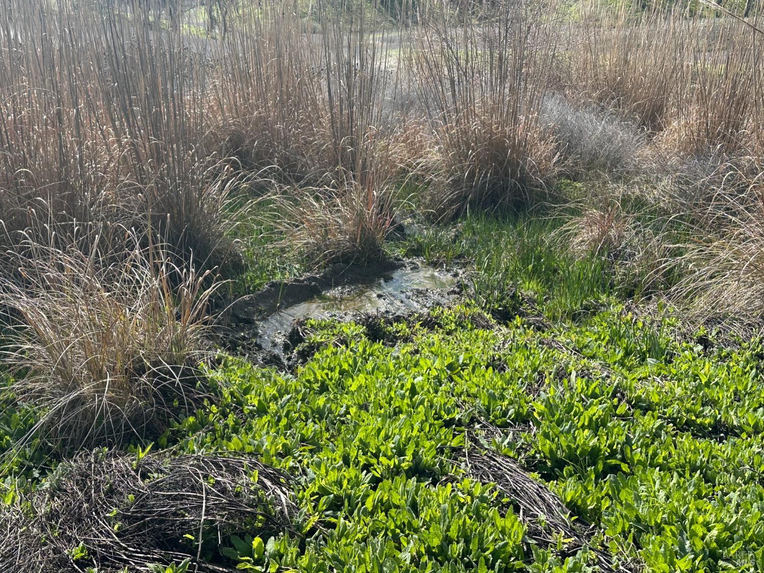 Detail Gallery Image 10 of 23 For 25156 E State Hwy 20 Hwy, Clearlake Oaks,  CA 95423 - – Beds | – Baths