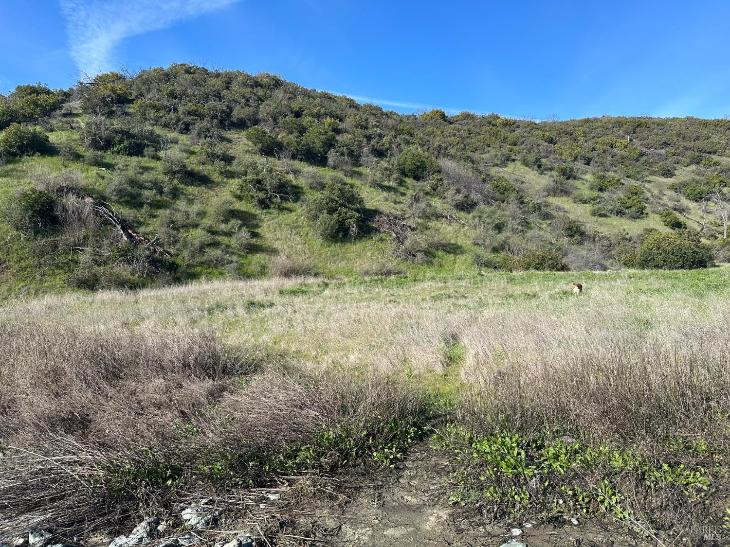 Detail Gallery Image 4 of 23 For 25156 E State Hwy 20 Hwy, Clearlake Oaks,  CA 95423 - – Beds | – Baths