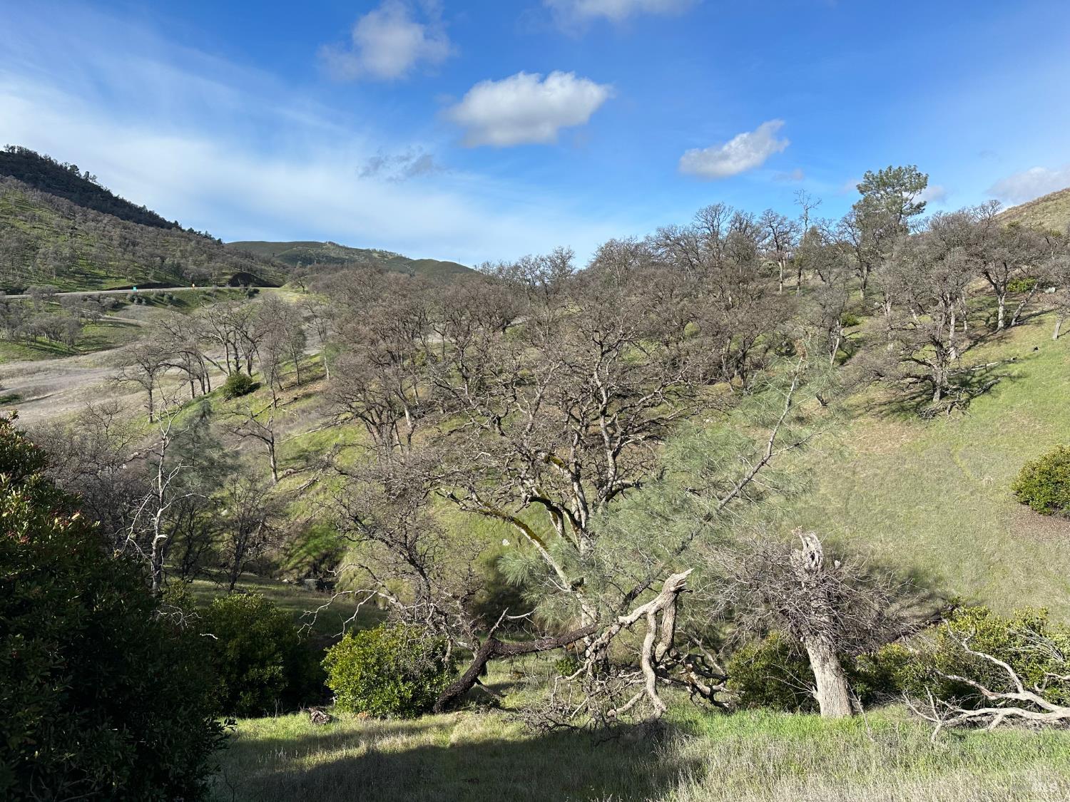 Detail Gallery Image 12 of 23 For 25156 E State Hwy 20 Hwy, Clearlake Oaks,  CA 95423 - – Beds | – Baths