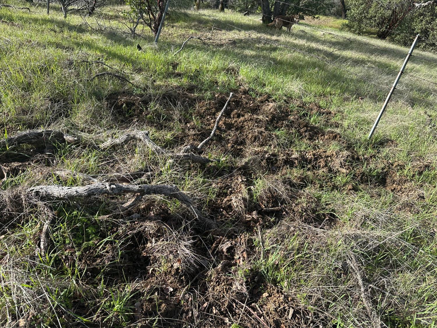 Detail Gallery Image 20 of 23 For 25156 E State Hwy 20 Hwy, Clearlake Oaks,  CA 95423 - – Beds | – Baths