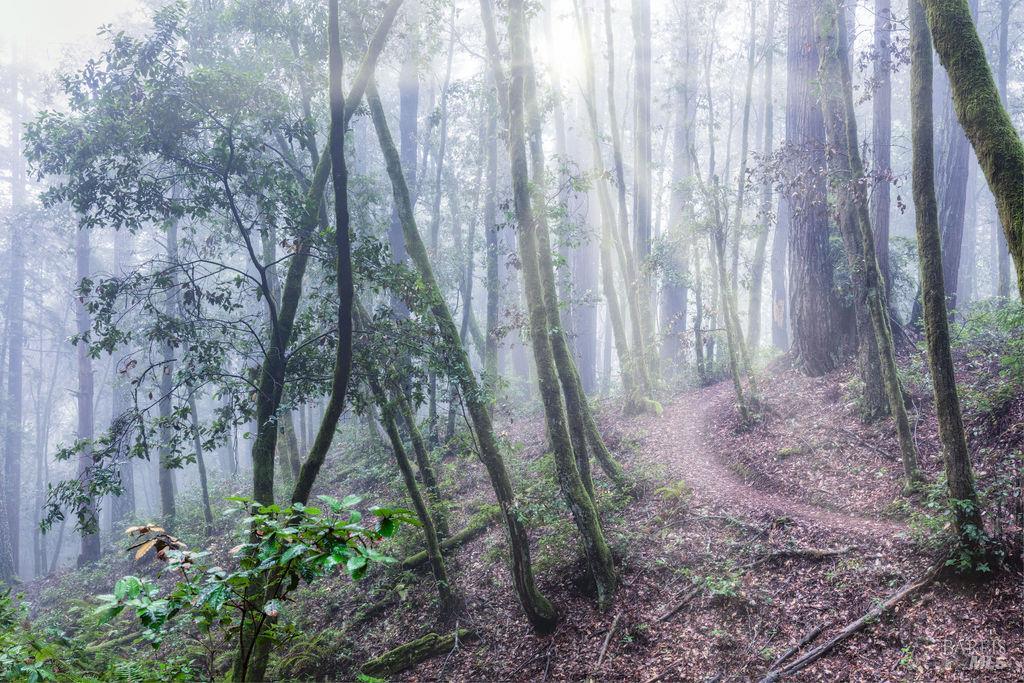 Detail Gallery Image 32 of 35 For 91 Wild Iris Unkn, The Sea Ranch,  CA 95497 - – Beds | – Baths