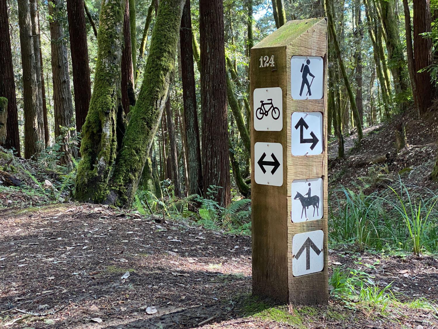 Detail Gallery Image 29 of 35 For 91 Wild Iris Unkn, The Sea Ranch,  CA 95497 - – Beds | – Baths