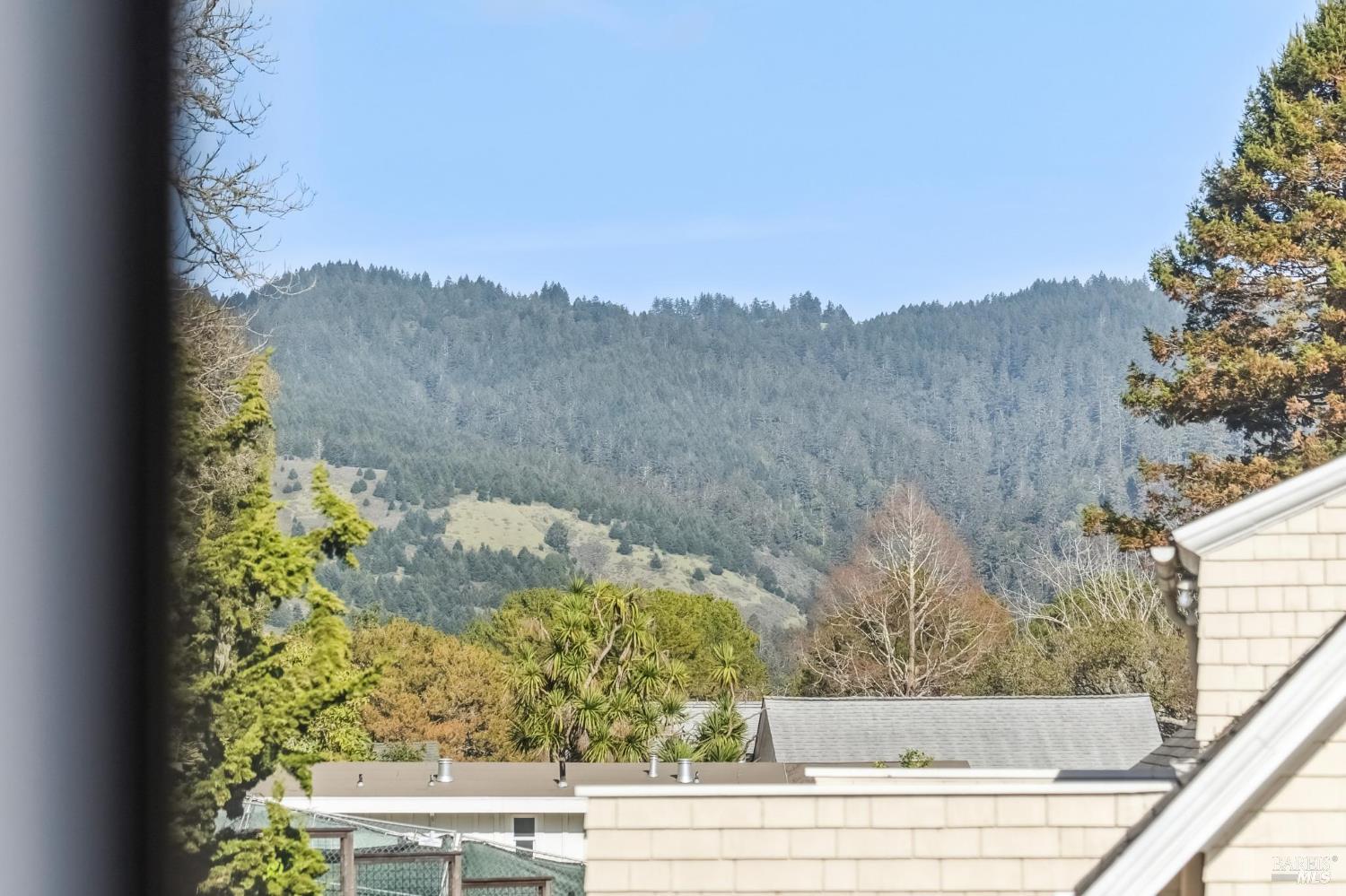 Detail Gallery Image 37 of 47 For 11 Wharf Rd, Bolinas,  CA 94924 - 2 Beds | 2/1 Baths