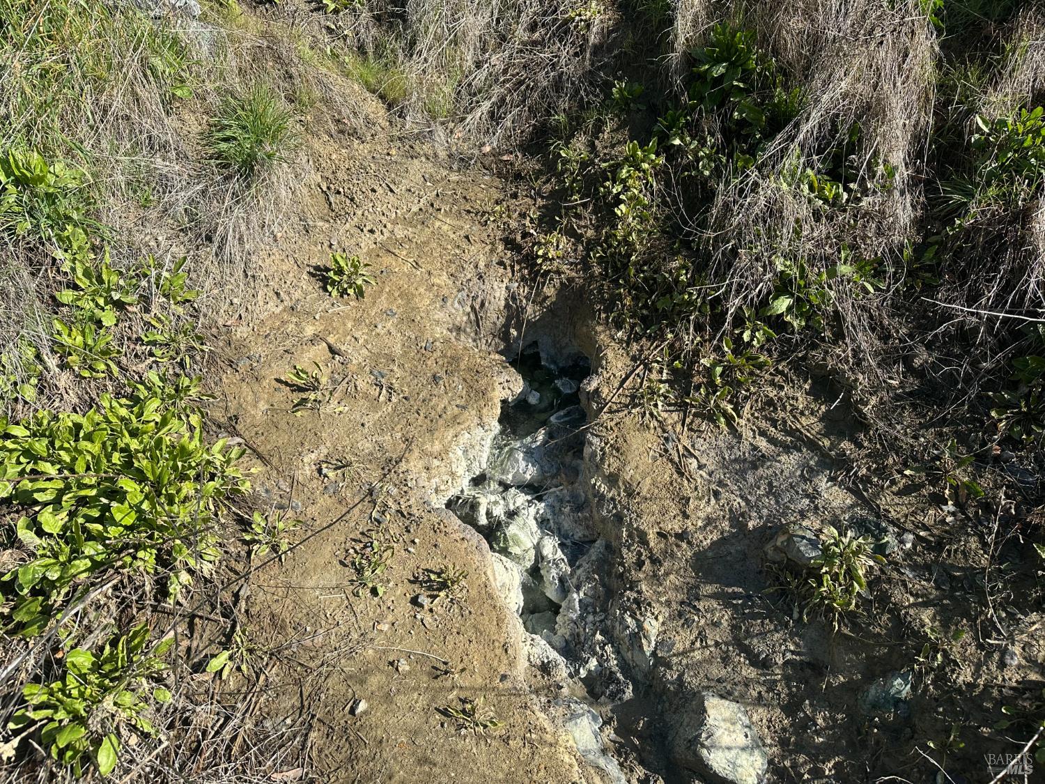 Detail Gallery Image 2 of 23 For 25156 E State Hwy 20 Hwy, Clearlake Oaks,  CA 95423 - – Beds | – Baths