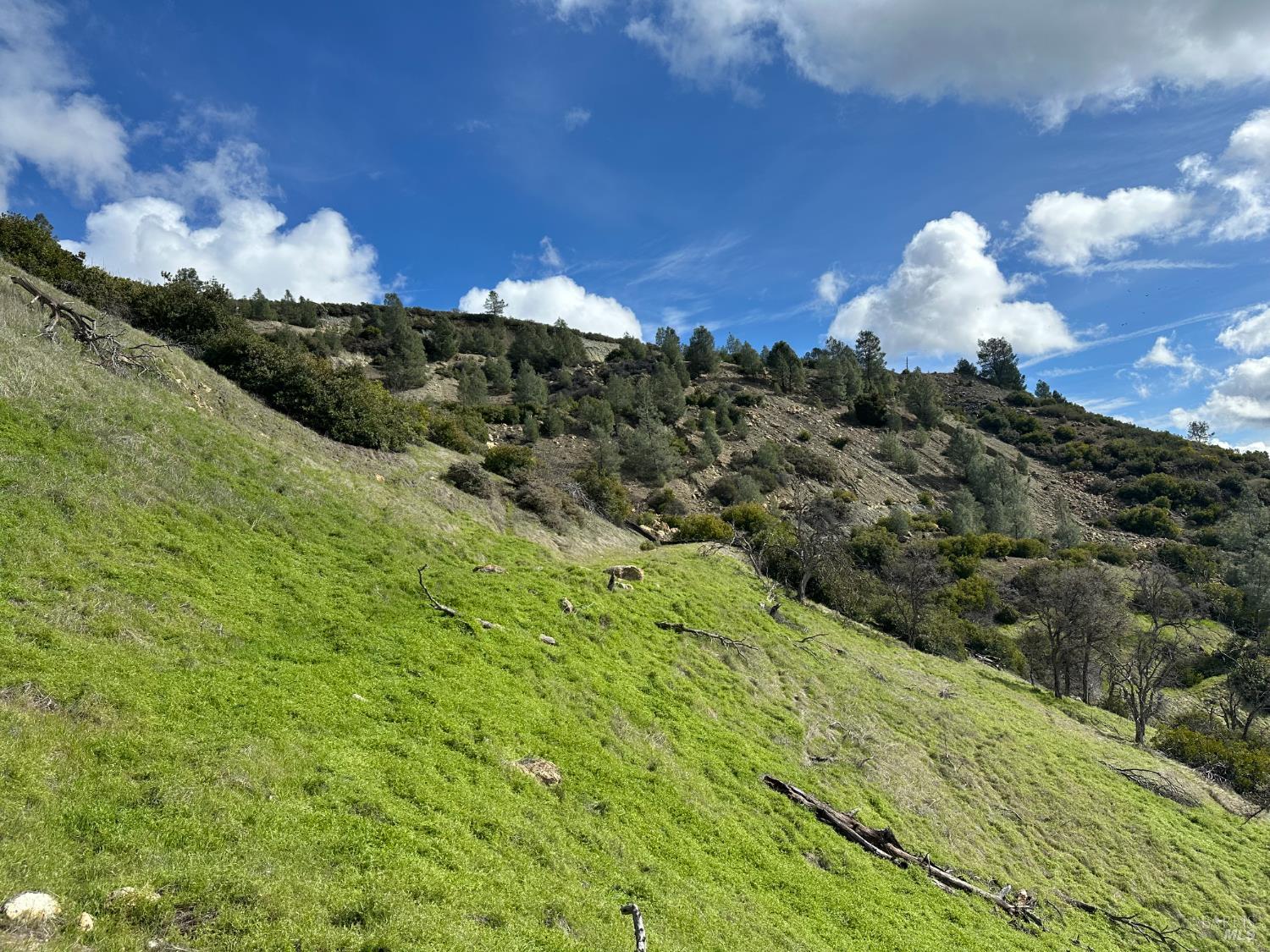 Detail Gallery Image 15 of 23 For 25156 E State Hwy 20 Hwy, Clearlake Oaks,  CA 95423 - – Beds | – Baths