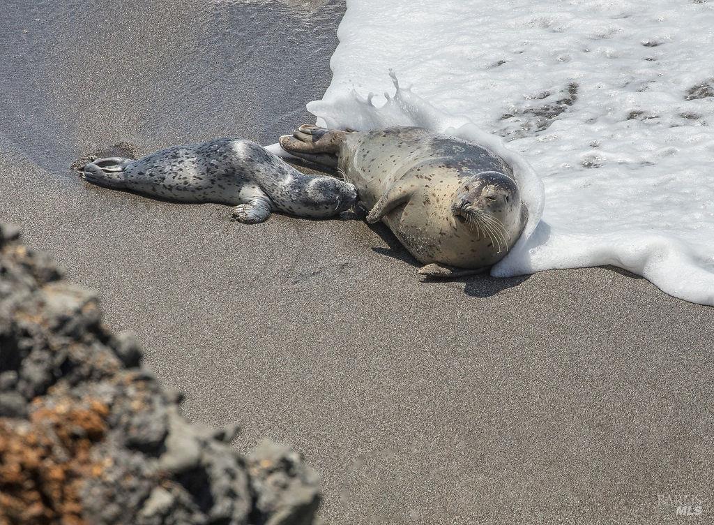 Detail Gallery Image 28 of 35 For 91 Wild Iris Unkn, The Sea Ranch,  CA 95497 - – Beds | – Baths