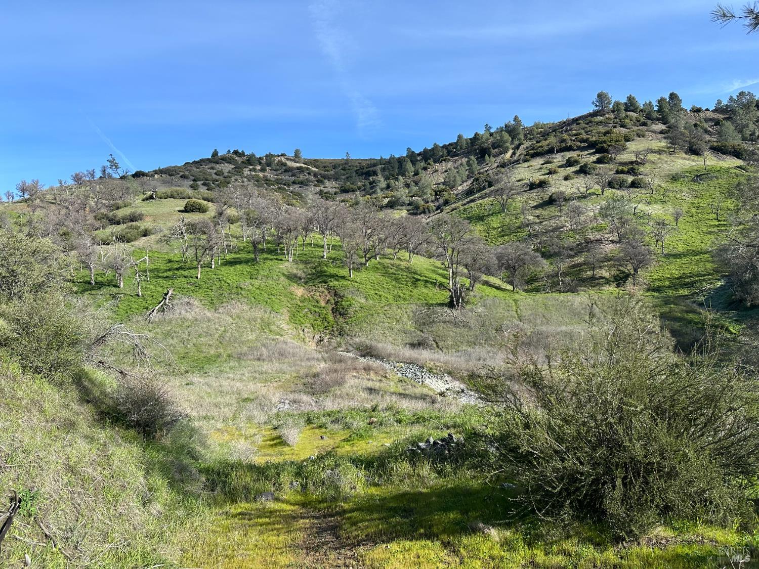 Detail Gallery Image 7 of 23 For 25156 E State Hwy 20 Hwy, Clearlake Oaks,  CA 95423 - – Beds | – Baths