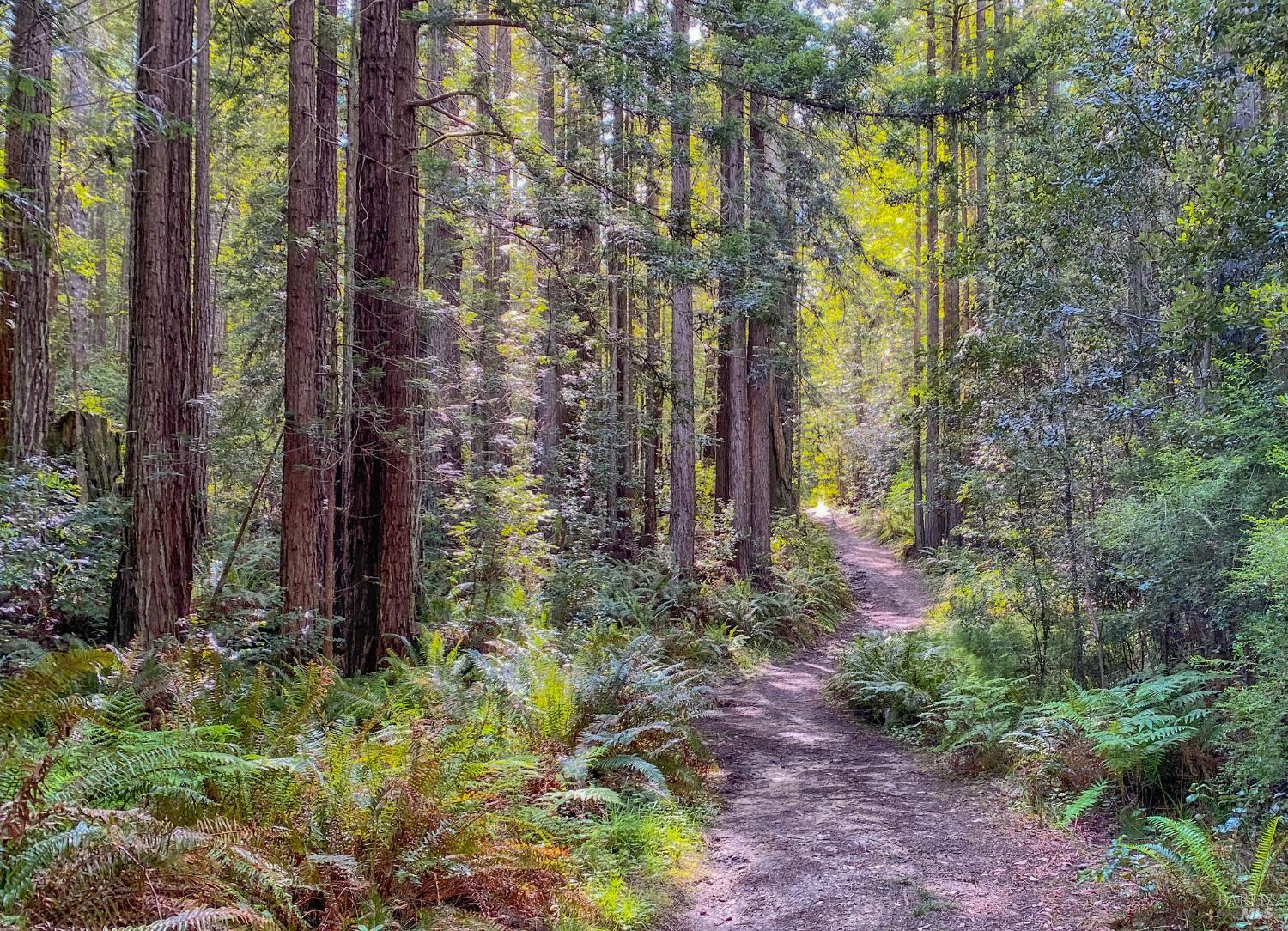 Detail Gallery Image 31 of 35 For 91 Wild Iris Unkn, The Sea Ranch,  CA 95497 - – Beds | – Baths