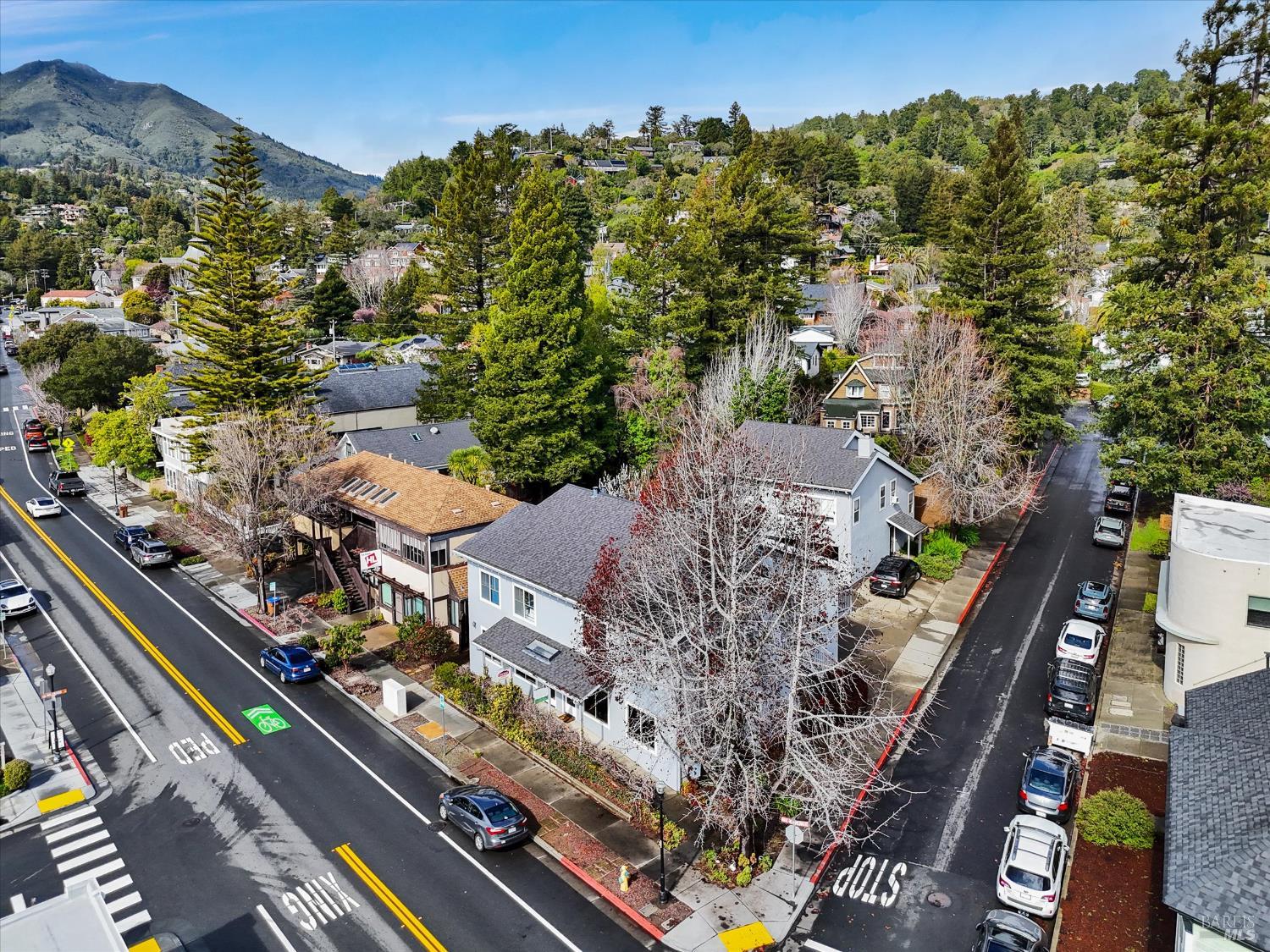 Detail Gallery Image 9 of 12 For 219 E Blithedale Ave, Mill Valley,  CA 94941 - – Beds | – Baths