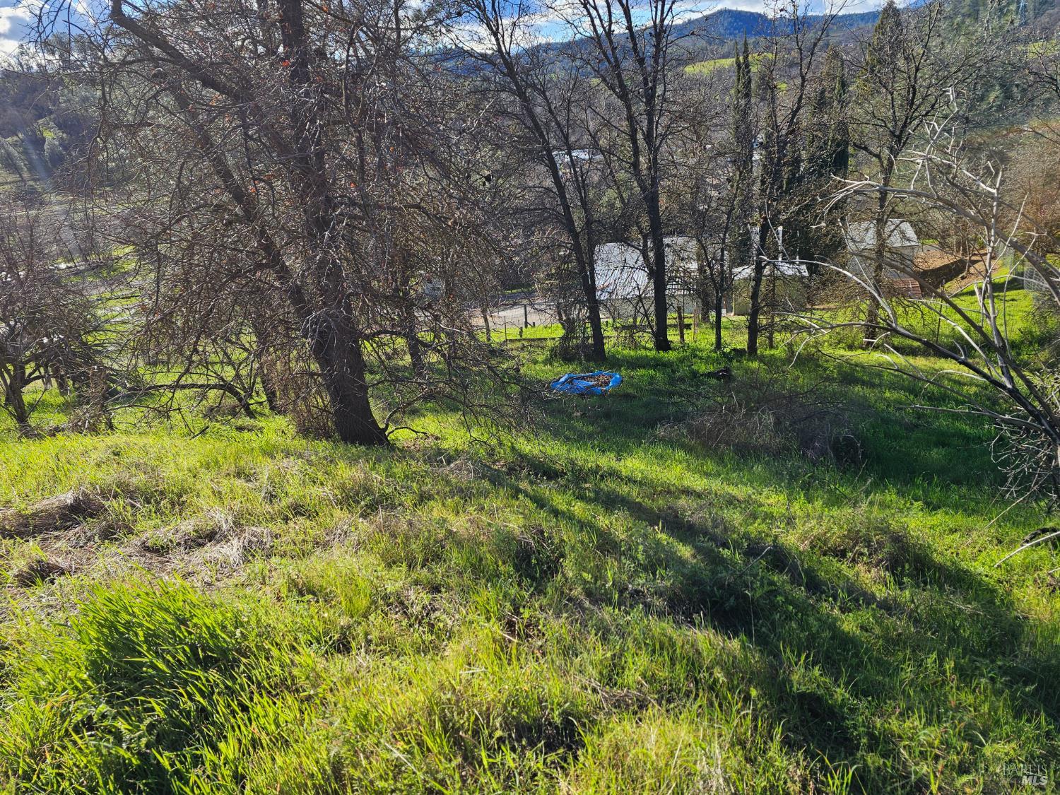 Detail Gallery Image 9 of 15 For 10167 Bell Cir, Lower Lake,  CA 95457 - – Beds | – Baths