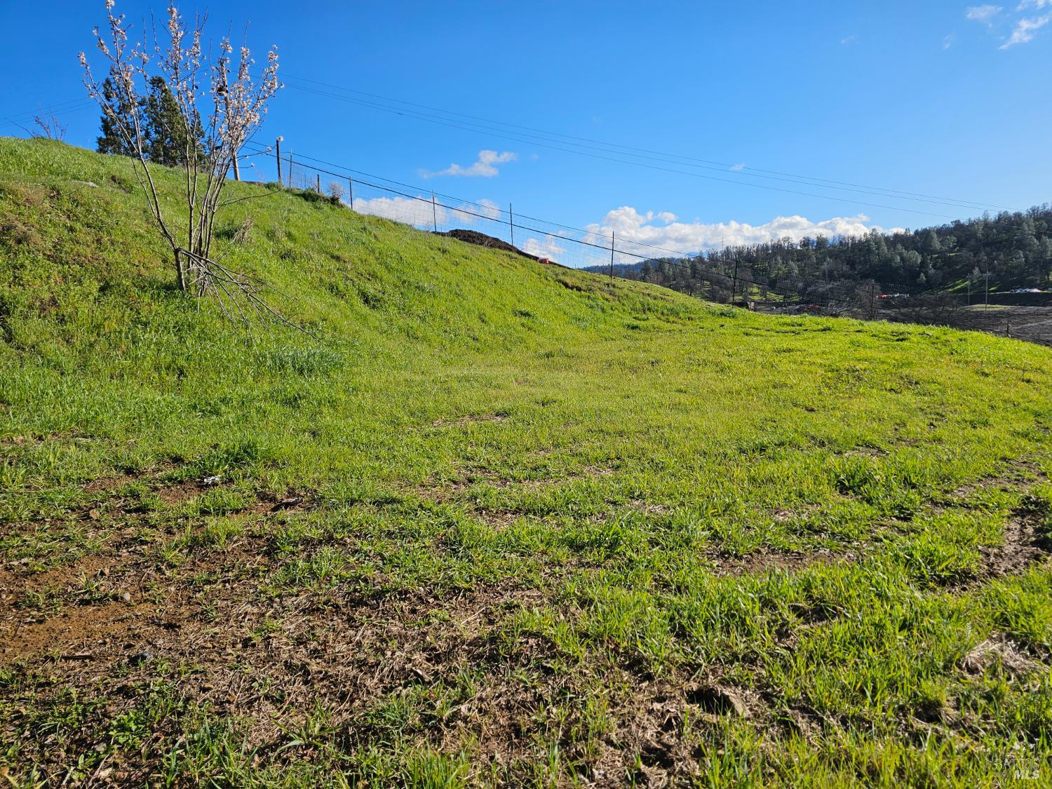 Detail Gallery Image 4 of 15 For 10167 Bell Cir, Lower Lake,  CA 95457 - – Beds | – Baths