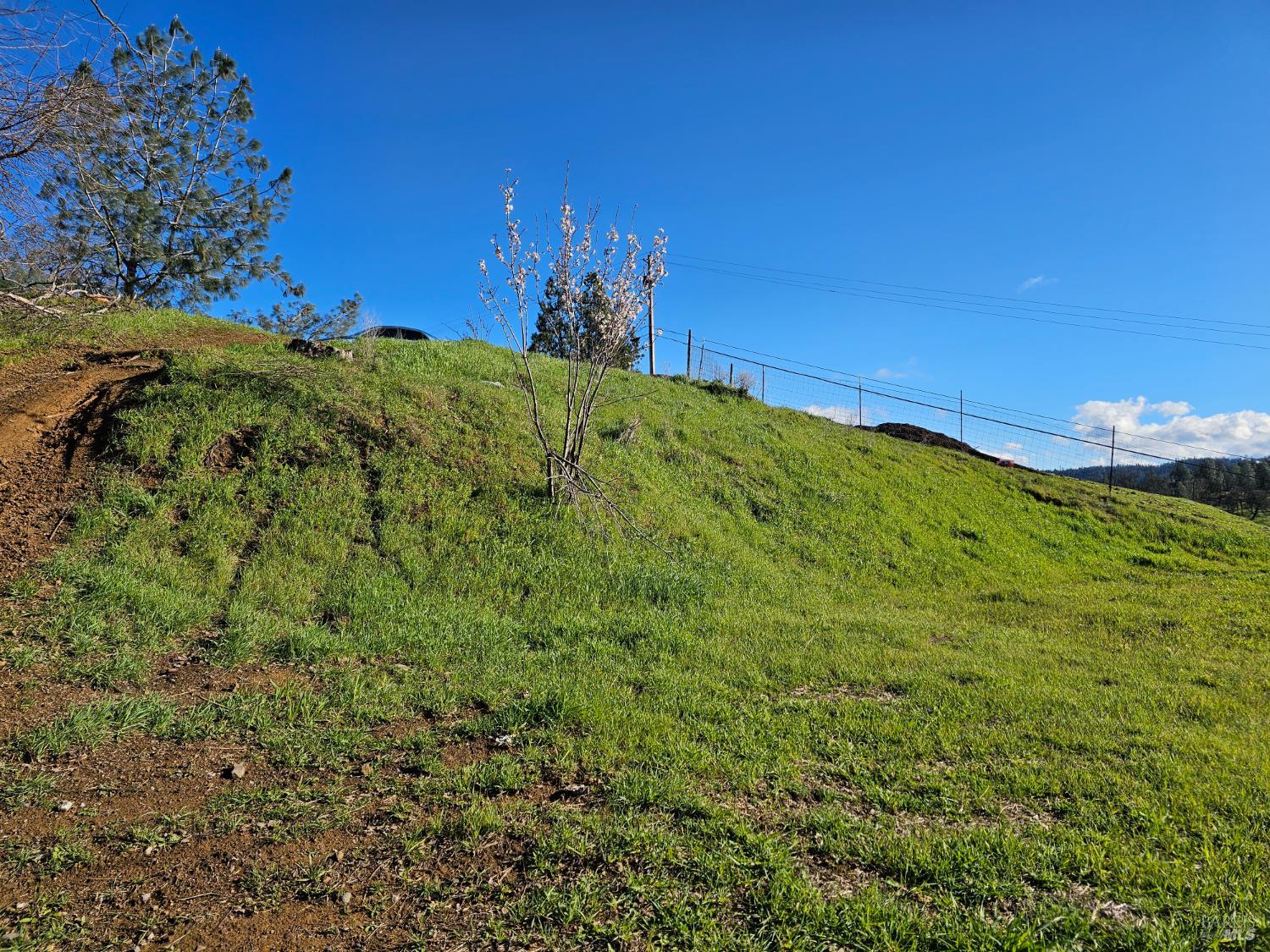 Detail Gallery Image 12 of 15 For 10167 Bell Cir, Lower Lake,  CA 95457 - – Beds | – Baths