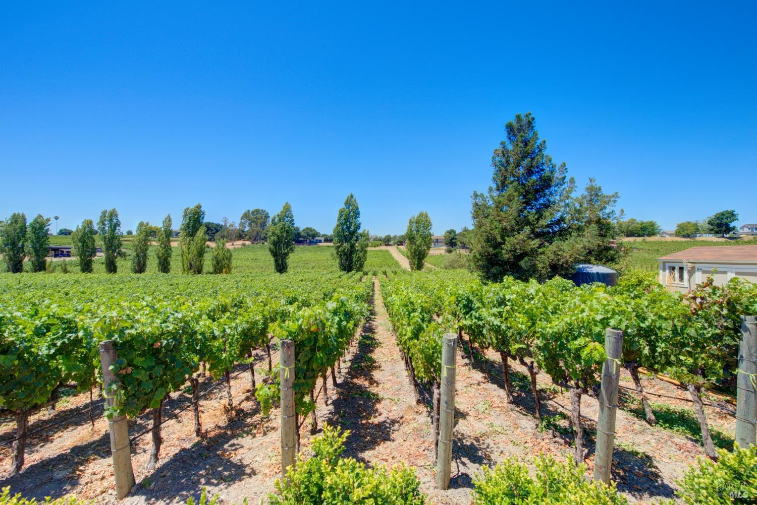 Detail Gallery Image 10 of 34 For 1597 Estee Ave, Napa,  CA 94558 - 4 Beds | 2 Baths