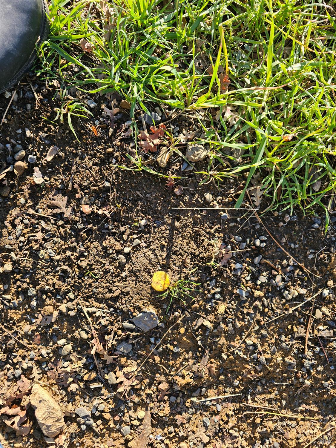 Detail Gallery Image 3 of 15 For 10167 Bell Cir, Lower Lake,  CA 95457 - – Beds | – Baths