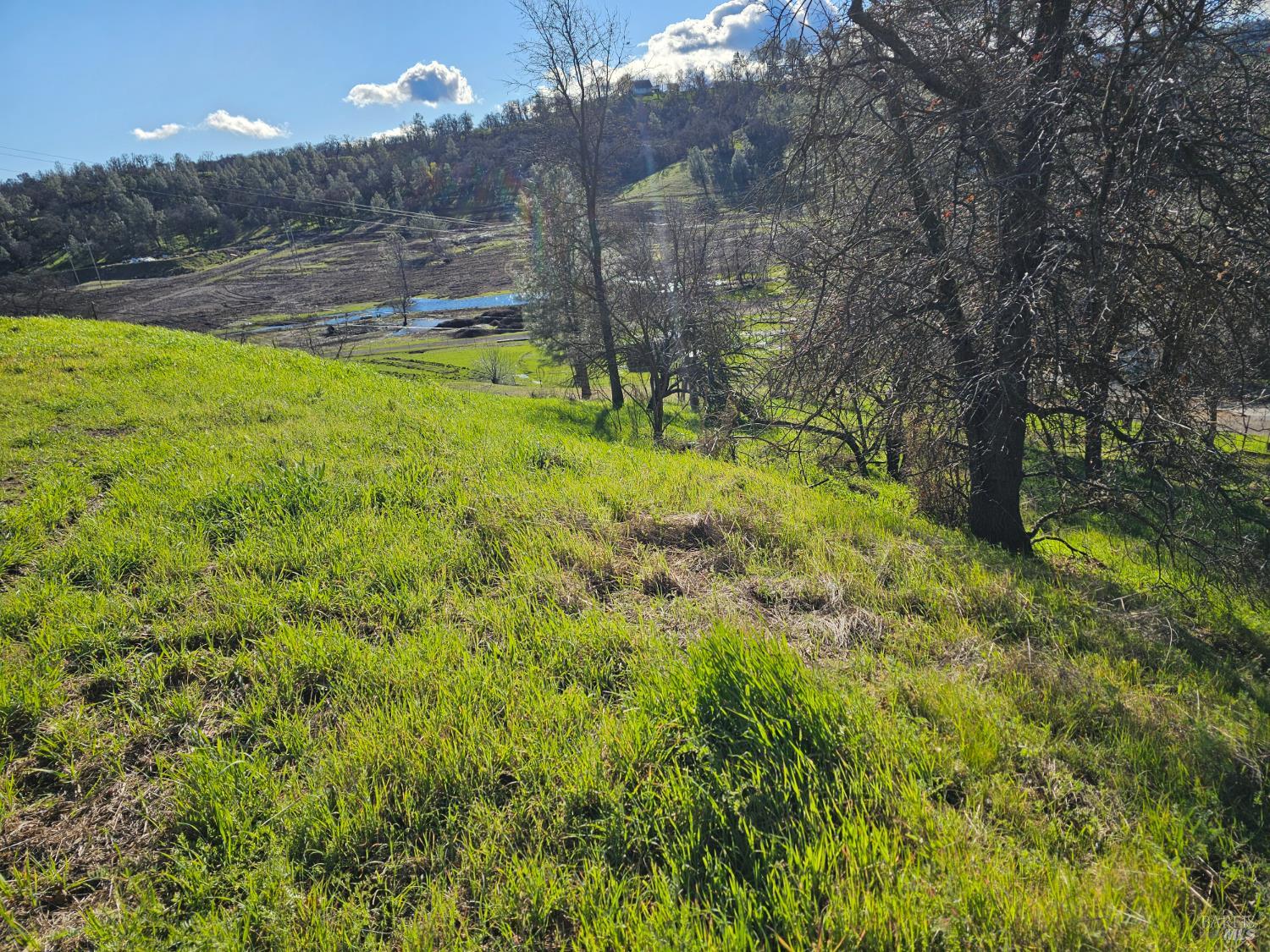 Detail Gallery Image 10 of 15 For 10167 Bell Cir, Lower Lake,  CA 95457 - – Beds | – Baths