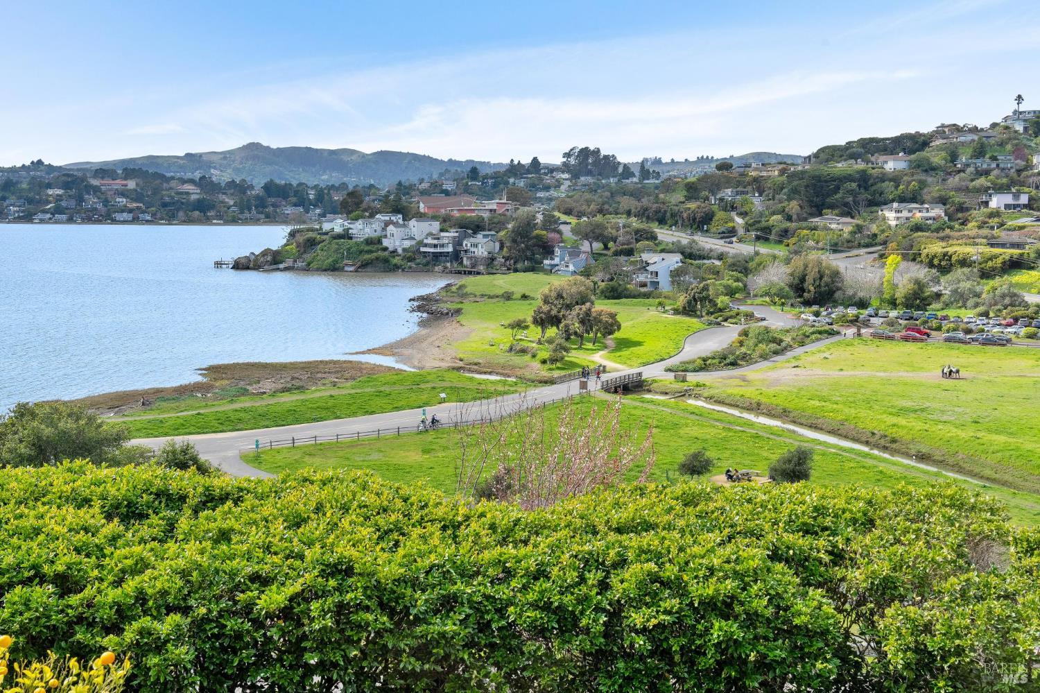 Detail Gallery Image 11 of 51 For 532 Virginia Dr, Tiburon,  CA 94920 - 2 Beds | 1 Baths