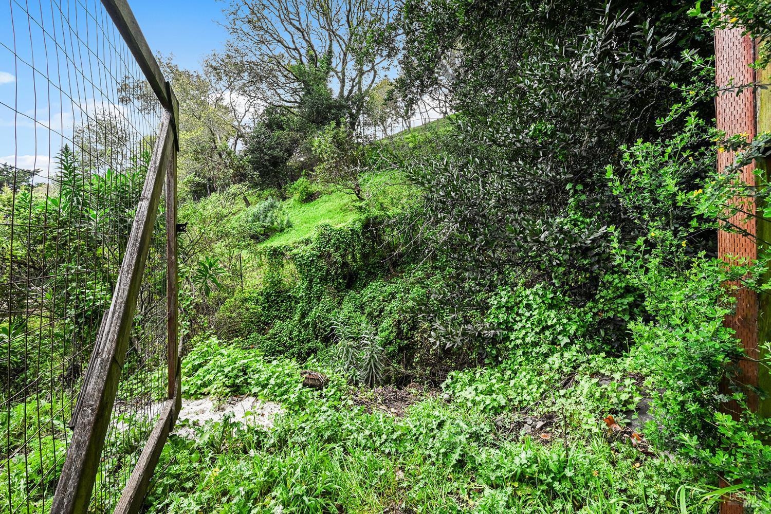 Detail Gallery Image 62 of 65 For 11 Hollyhock Ct, Mill Valley,  CA 94941 - 4 Beds | 2/1 Baths