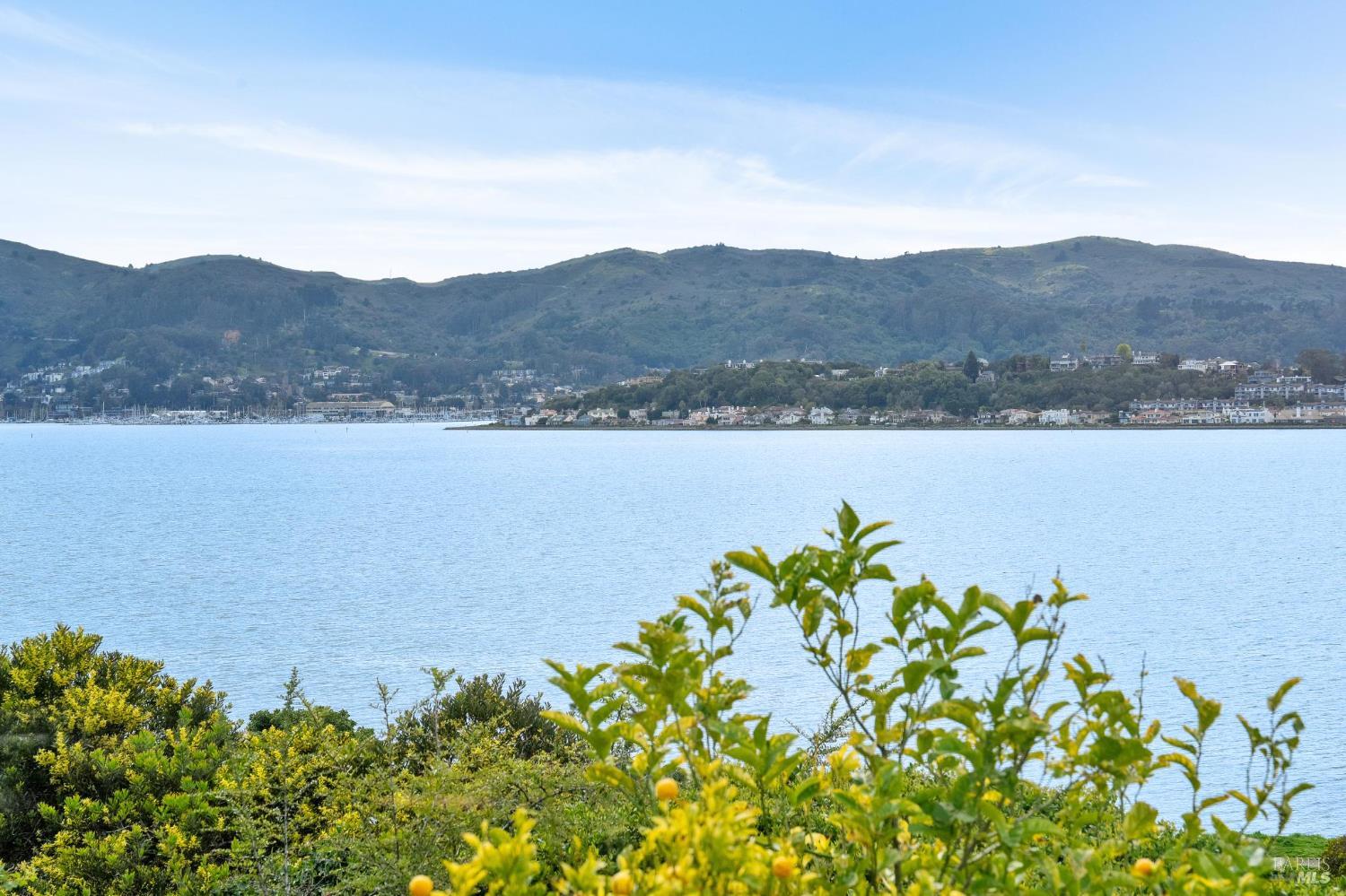 Detail Gallery Image 9 of 51 For 532 Virginia Dr, Tiburon,  CA 94920 - 2 Beds | 1 Baths