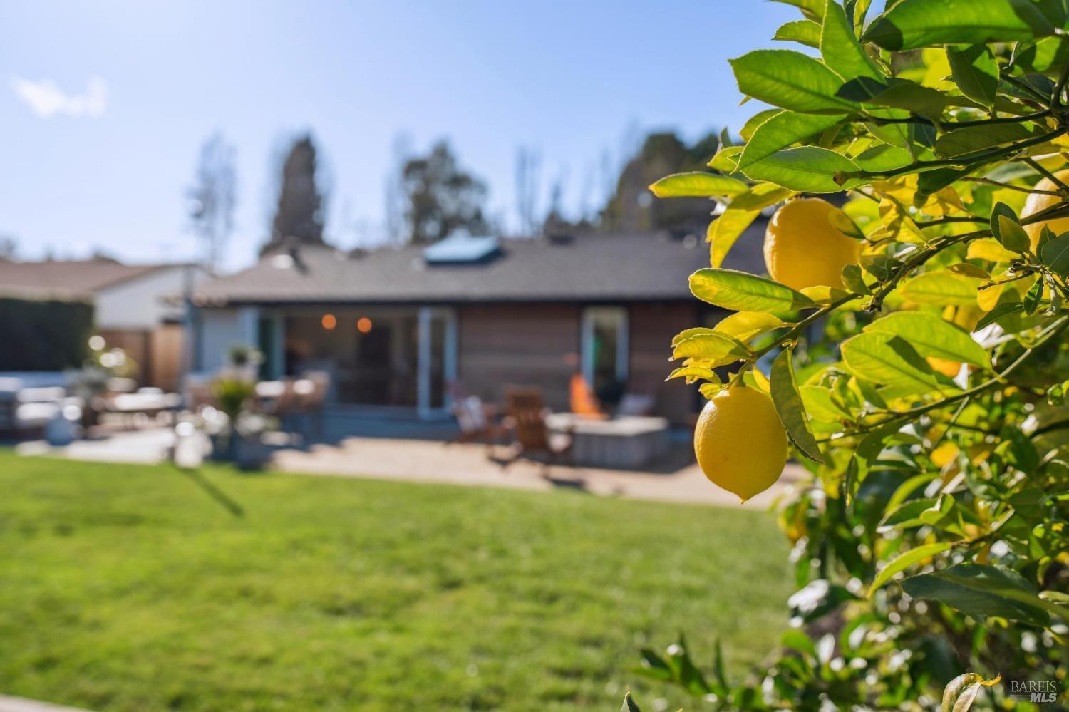 Detail Gallery Image 35 of 54 For 122 Blackfield Dr, Tiburon,  CA 94920 - 2 Beds | 2 Baths