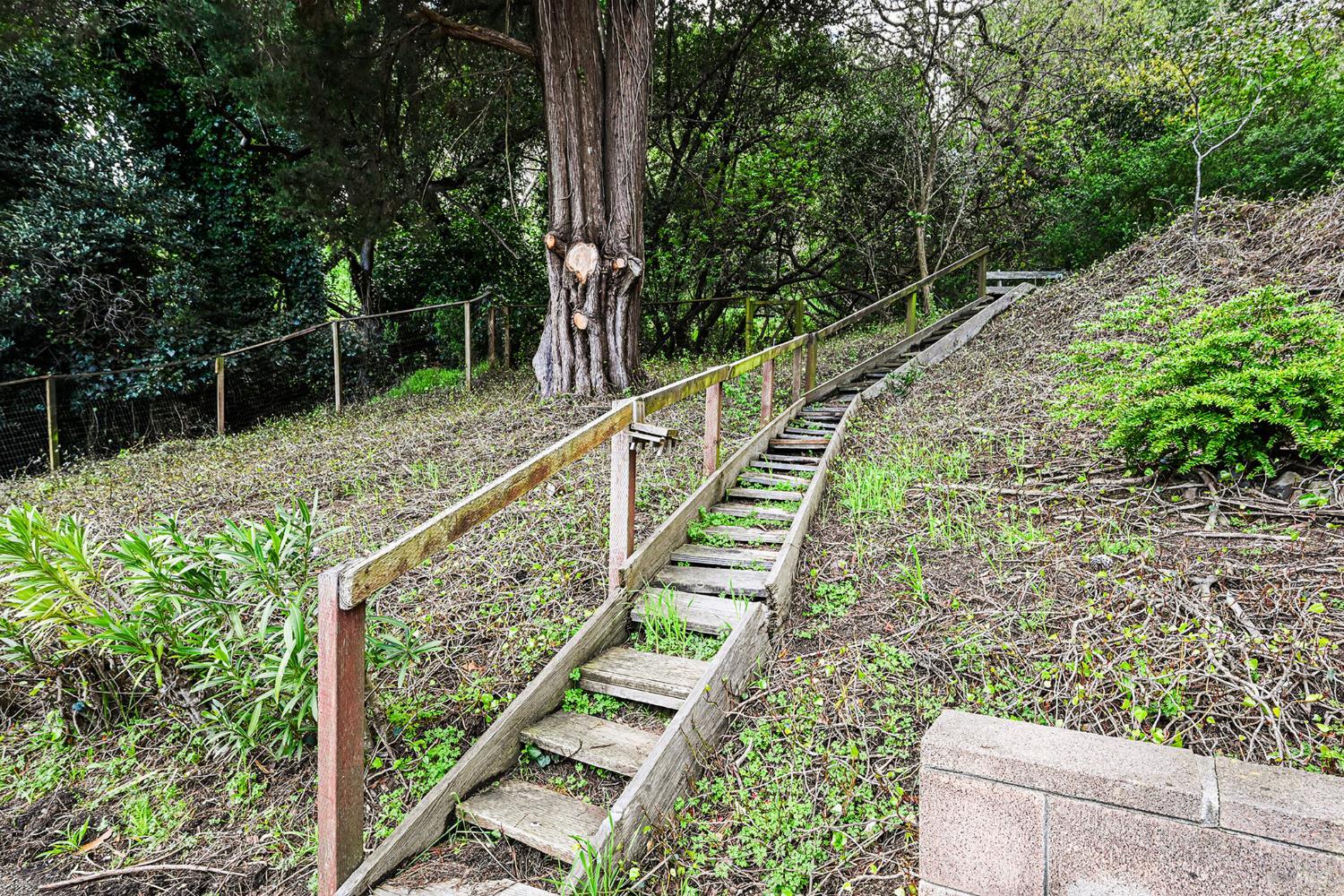 Detail Gallery Image 63 of 65 For 11 Hollyhock Ct, Mill Valley,  CA 94941 - 4 Beds | 2/1 Baths