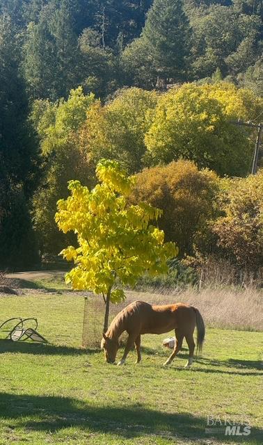 Detail Gallery Image 11 of 11 For 6651 Hearst Willits Rd, Willits,  CA 95490 - 1 Beds | 1 Baths
