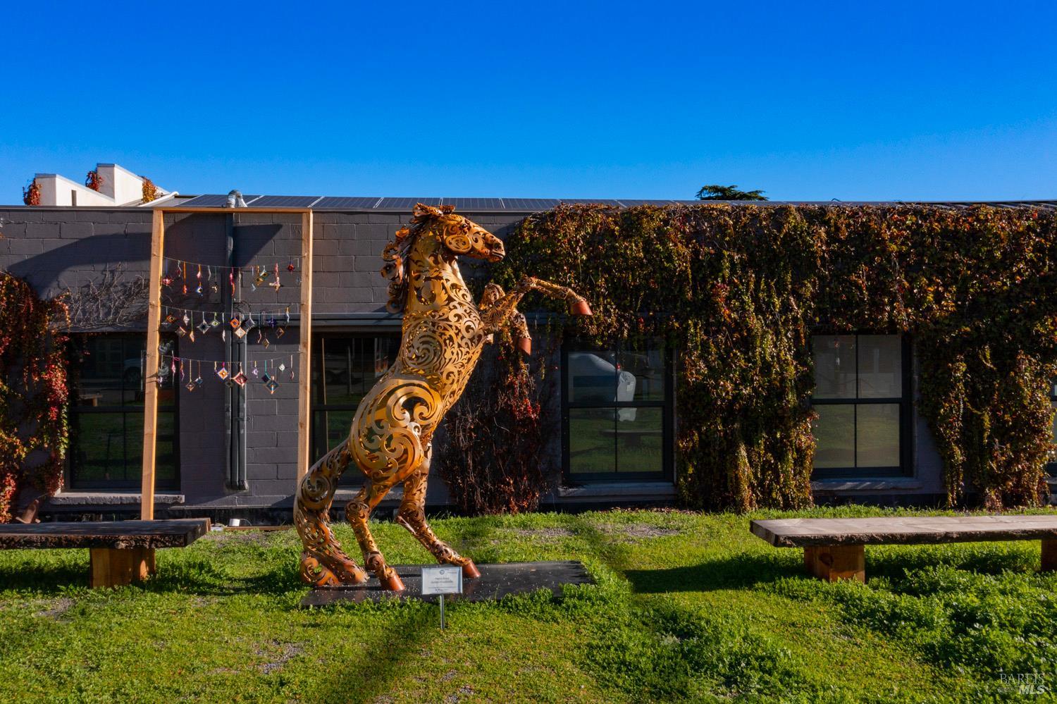 Detail Gallery Image 4 of 12 For 21020 Redwood Hwy, Geyserville,  CA 95441 - – Beds | – Baths