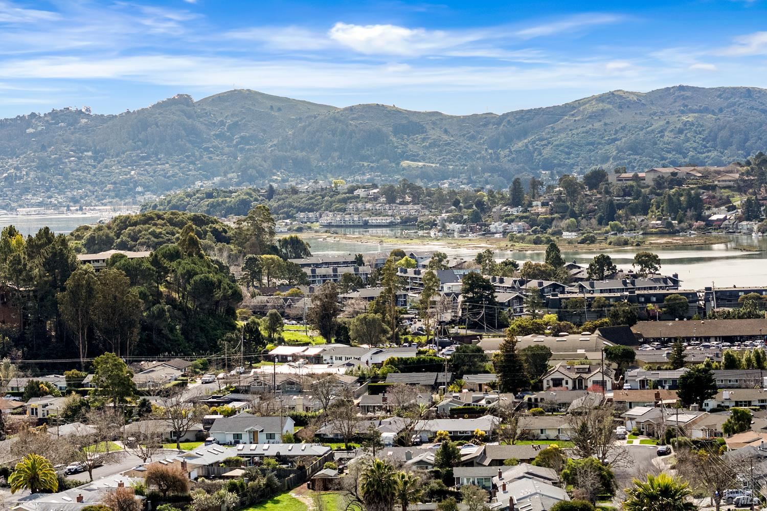 Detail Gallery Image 45 of 47 For 260 Blackfield Dr, Tiburon,  CA 94920 - 4 Beds | 2/1 Baths