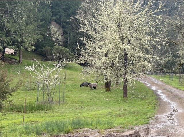 Detail Gallery Image 7 of 11 For 6651 Hearst Willits Rd, Willits,  CA 95490 - 1 Beds | 1 Baths