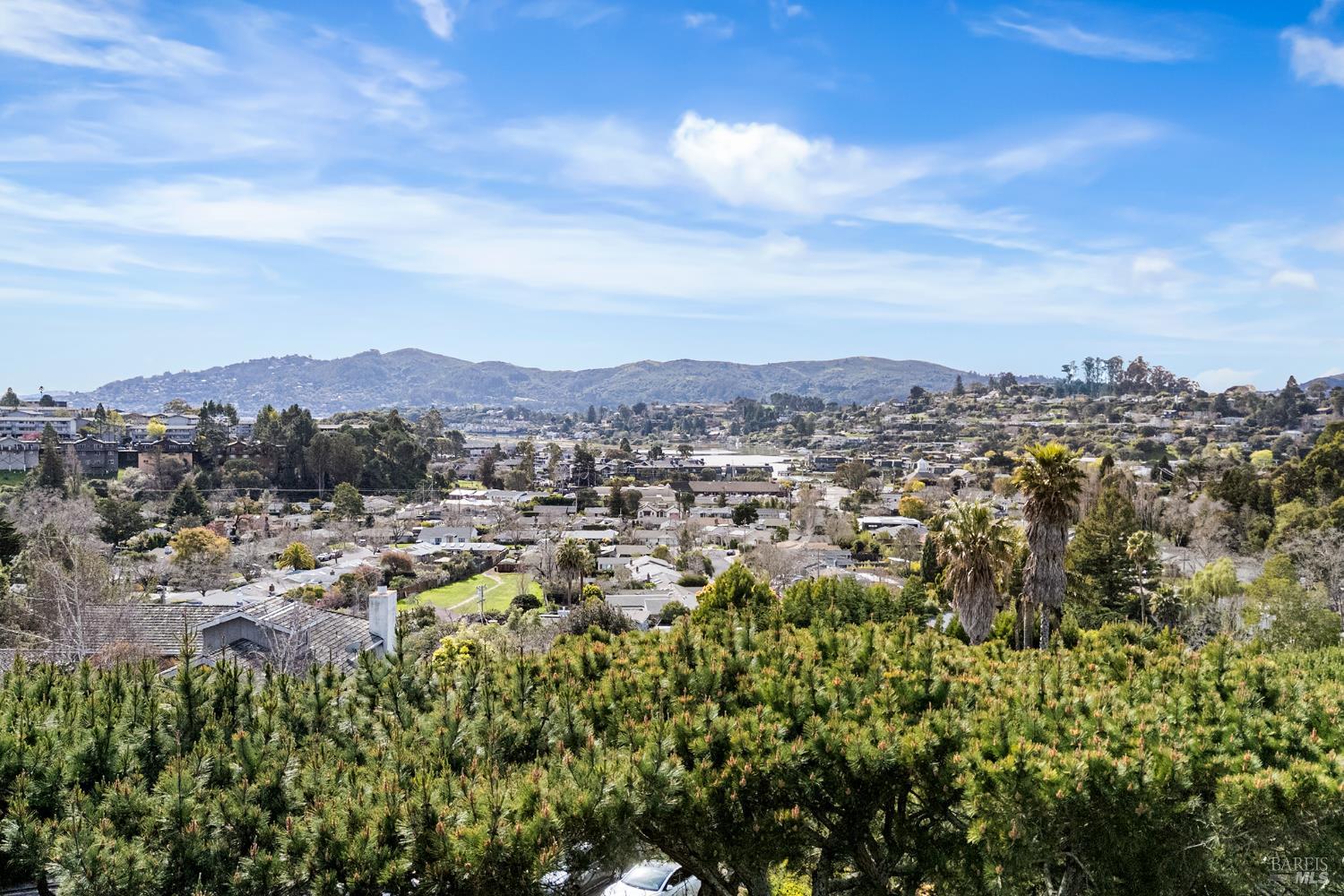 Detail Gallery Image 8 of 47 For 260 Blackfield Dr, Tiburon,  CA 94920 - 4 Beds | 2/1 Baths