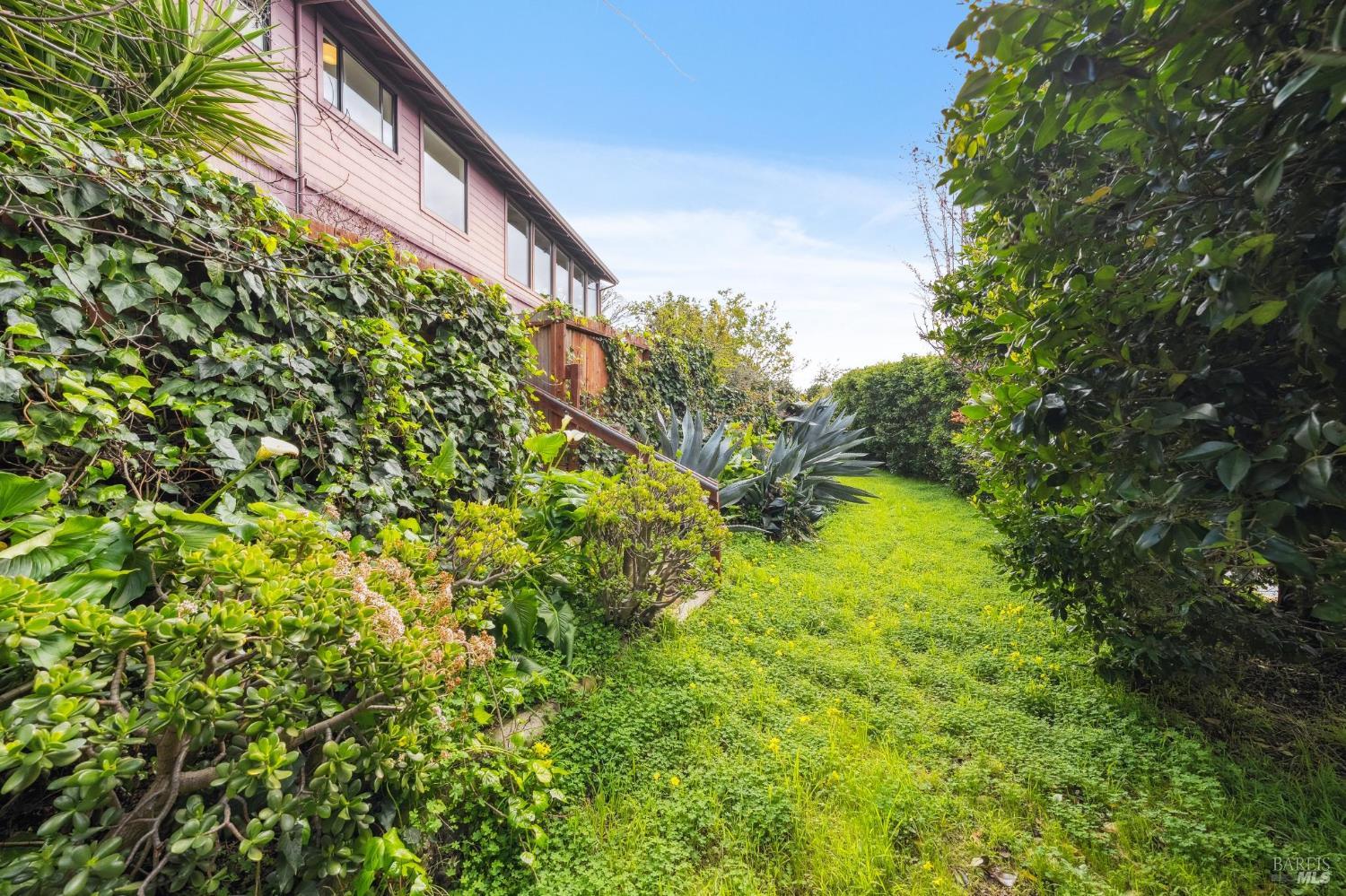 Detail Gallery Image 50 of 51 For 532 Virginia Dr, Tiburon,  CA 94920 - 2 Beds | 1 Baths