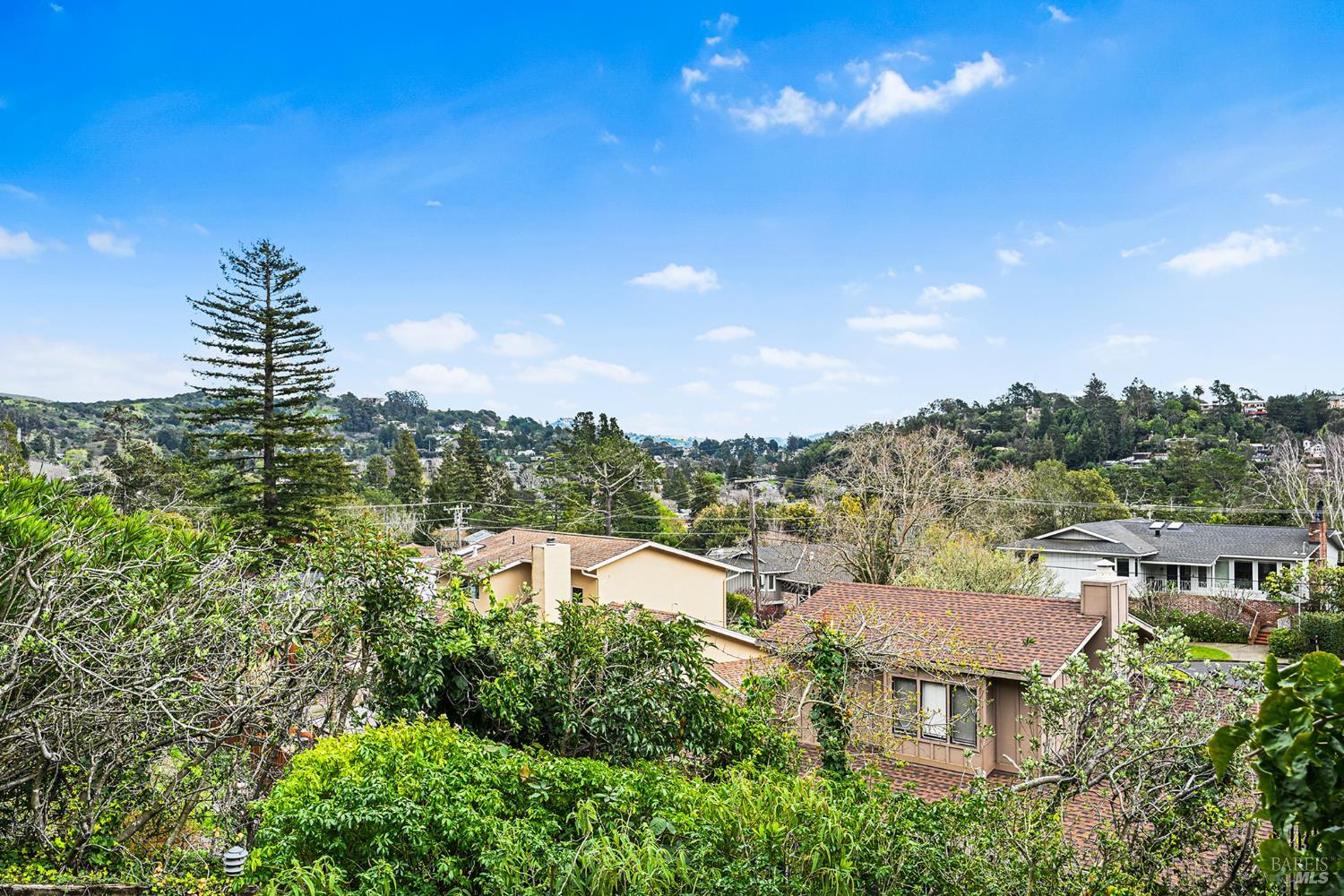 Detail Gallery Image 54 of 65 For 11 Hollyhock Ct, Mill Valley,  CA 94941 - 4 Beds | 2/1 Baths