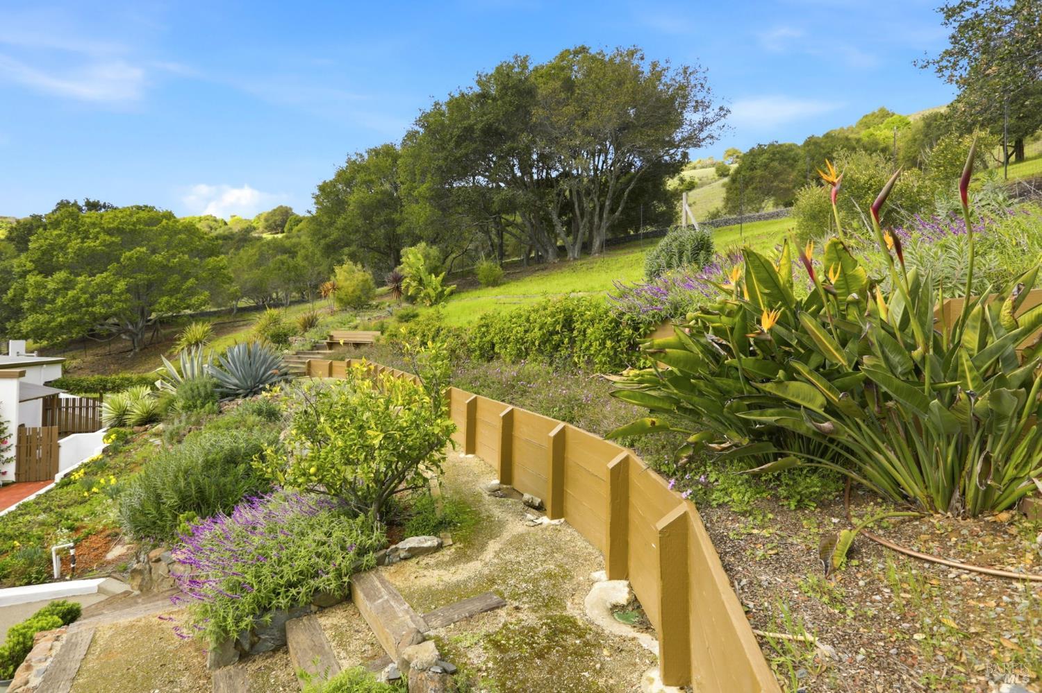 Detail Gallery Image 37 of 43 For 2 Paseo Mirasol Unkn, Tiburon,  CA 94920 - 5 Beds | 2/1 Baths