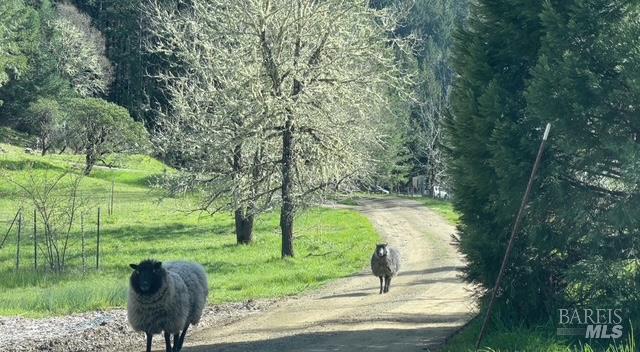 Detail Gallery Image 8 of 11 For 6651 Hearst Willits Rd, Willits,  CA 95490 - 1 Beds | 1 Baths