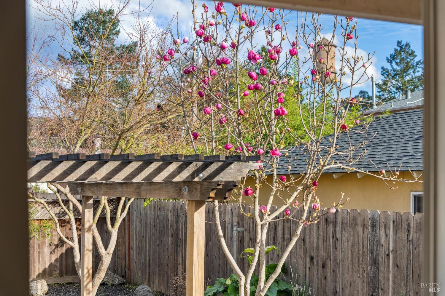 Detail Gallery Image 15 of 59 For 18023 Mulberry Ave, Sonoma,  CA 95476 - 2 Beds | 1 Baths