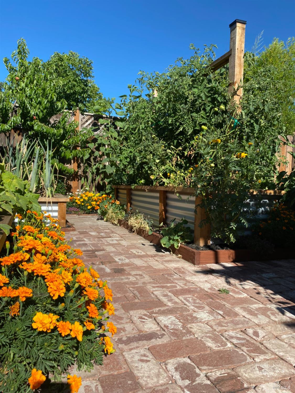 Detail Gallery Image 50 of 59 For 18023 Mulberry Ave, Sonoma,  CA 95476 - 2 Beds | 1 Baths