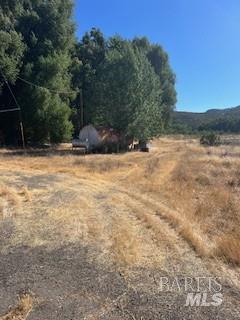 Detail Gallery Image 7 of 65 For 11727 Elk Mountain Rd, Upper Lake,  CA 94585 - 3 Beds | 3 Baths