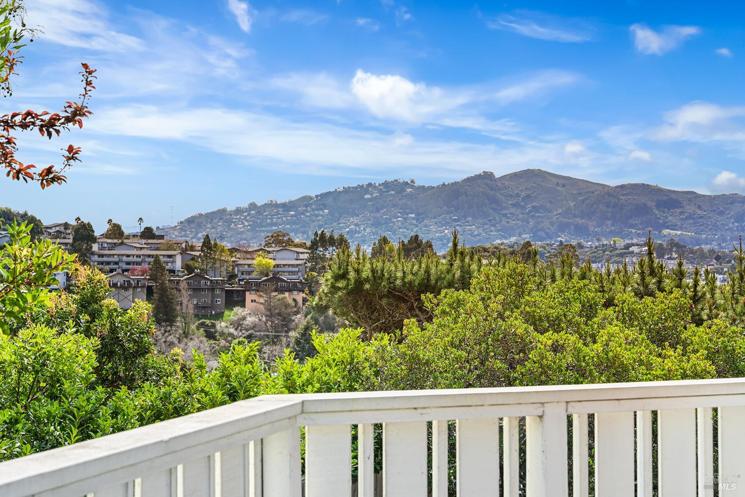 Detail Gallery Image 13 of 47 For 260 Blackfield Dr, Tiburon,  CA 94920 - 4 Beds | 2/1 Baths