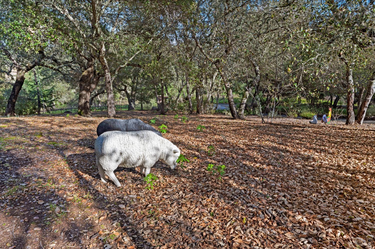 Detail Gallery Image 47 of 51 For 2557 Trinity Rd, Glen Ellen,  CA 95442 - 4 Beds | 5/1 Baths