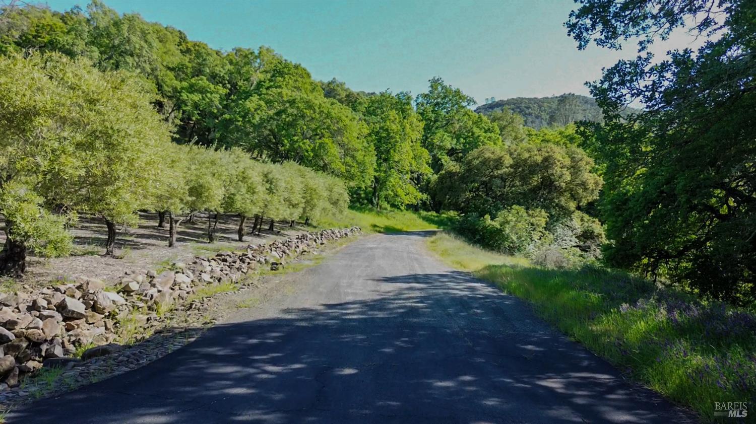 Detail Gallery Image 2 of 3 For 0 Long Ranch Rd, Saint Helena,  CA 94574 - – Beds | – Baths