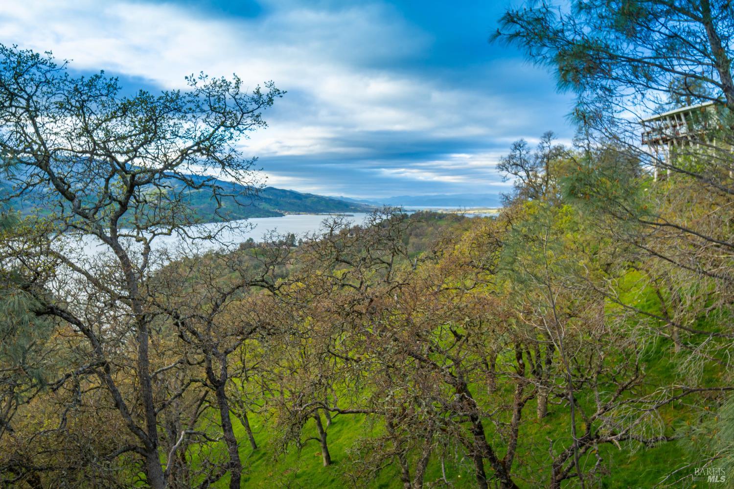 Detail Gallery Image 21 of 22 For 1123 Steele Canyon Rd, Napa,  CA 94558 - – Beds | – Baths