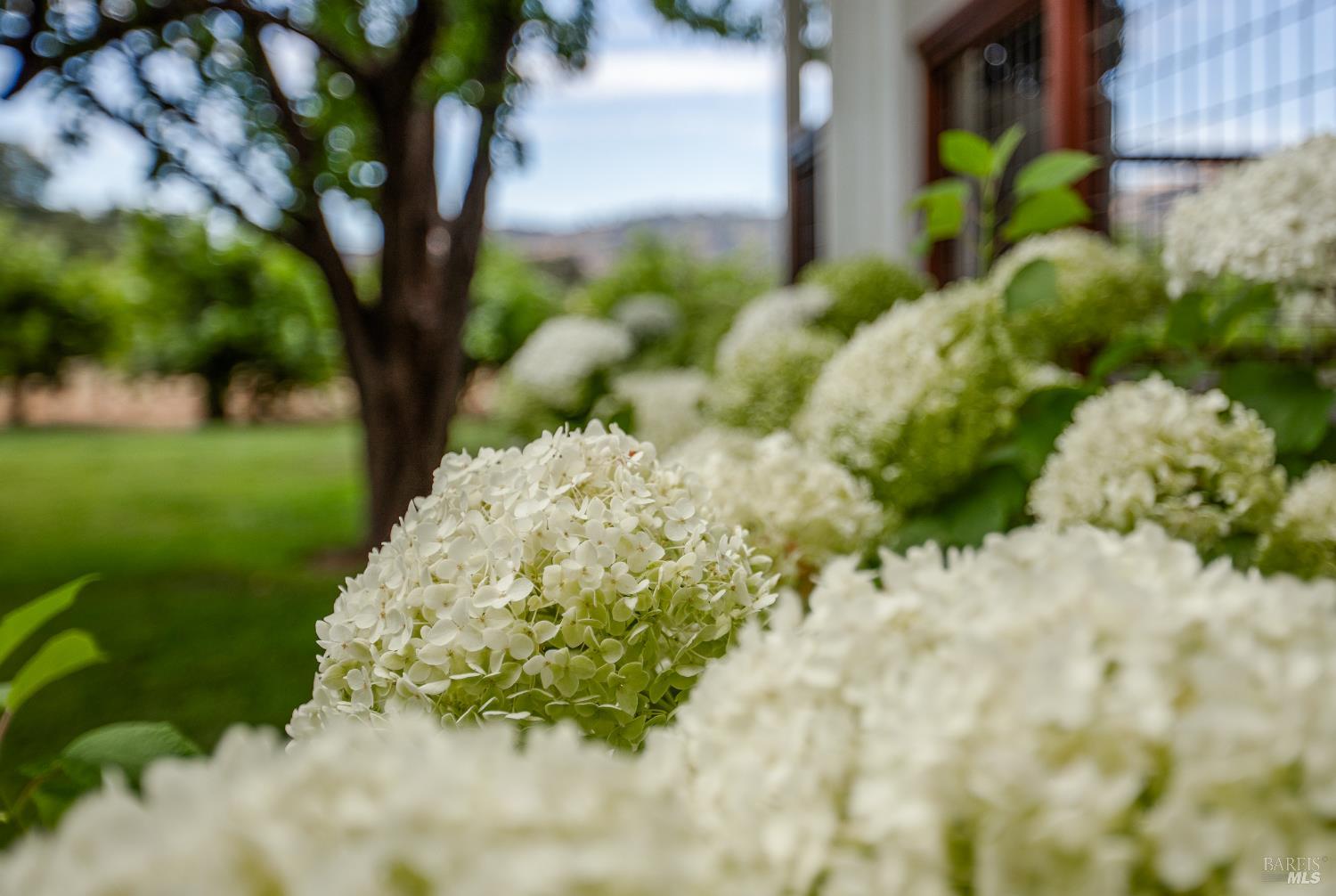 Detail Gallery Image 32 of 40 For 6476 Red Winery Rd, Geyserville,  CA 95441 - 3 Beds | 3 Baths