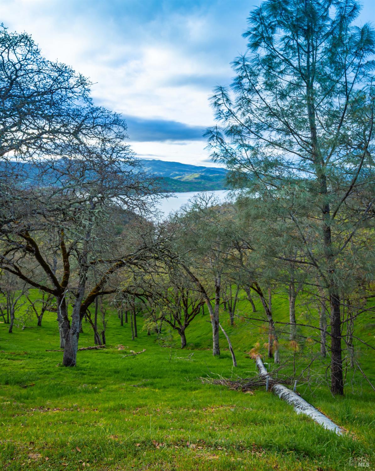 Detail Gallery Image 19 of 22 For 1123 Steele Canyon Rd, Napa,  CA 94558 - – Beds | – Baths