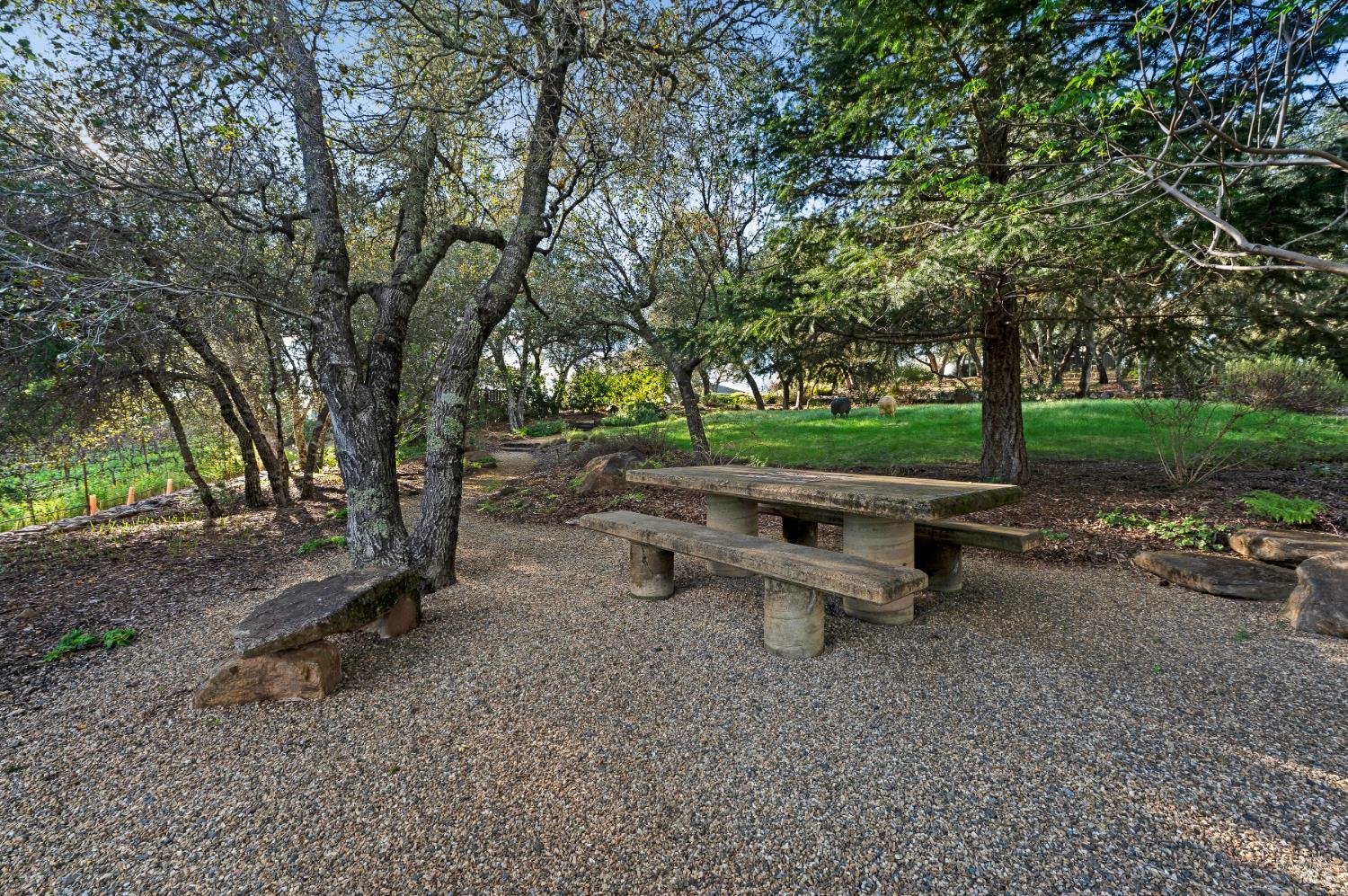 Detail Gallery Image 44 of 51 For 2557 Trinity Rd, Glen Ellen,  CA 95442 - 4 Beds | 5/1 Baths